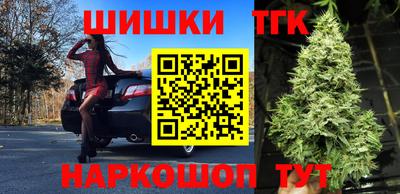 сатива Обь