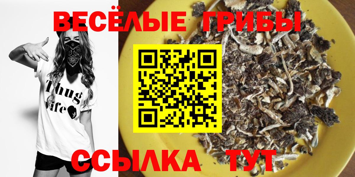 Псилоцибиновые грибы Magic Shrooms Тимашёвск