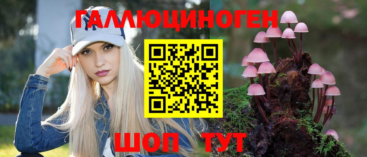 Тимашёвск  Галлюциногенные грибы Magic Shrooms  Галлюциногенные грибы Magic Shrooms  Вход с VPN 